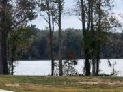 Grand Cypress Ln, Albany, Plot For Sale