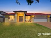 Auction Saturday 10am!