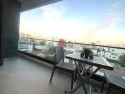 Grand studio neuf Palmier