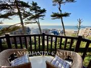 GRAND STUDIO VUE MER AVEC BALCON TROUVILLE SUR MER