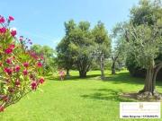 grand studio vue sur jardin PISCINE
