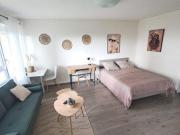 GRAND T1 MEUBLE ENTIEREMENT RENOVE + 1 CAVE
