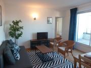 Grand T2 avec terrasses