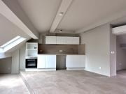 Grand T3 duplex, avec cave à Lyon 7ème