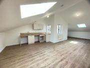 GRAND TYPE 3 SOUS LES TOITS VIEUX PORT