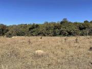 ÁREA COM 14 HECTARES, ENTRE O KM 4 e 5 DA DF 140...