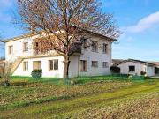 Grande famille ou marchand de bien, tout à pieds