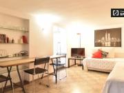 Grande monolocale in affitto nel centro di Roma