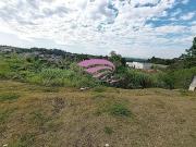 Grande terreno em Colombo na Rodovia da Uva