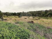 Grândola Setúbal 98601334