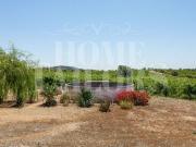 Granja 10 quarto, Vidigueira Beja 7960 432 DS82277503