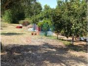 Granja 1 quarto, Beja Beja DS95655035