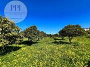 Granja 2 quarto, Lagos Faro 8600 321 DS92587896