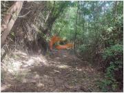 Granja 2 quarto, Oliveira do Hospital Oliveira do...