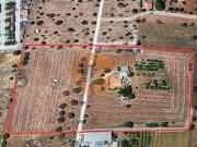 Granja 4 quarto, Tavira Faro DS96316208