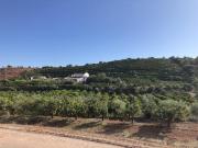 Granja 4 quarto, Tavira Tavira DS84878985