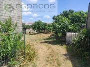 Granja Castelo Branco Castelo Branco DS84516457