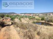 Granja Castelo Branco Castelo Branco DS94642204