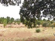 Granja Castelo Branco Castelo Branco DS98338046