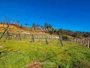 Granja Gestaço PORTO DS96308163