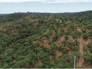 Granja Grândola Grândola DS92532040