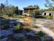 Granja Tondela Tondela DS95689762