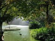 GRANJA VIANA PARQUE SILVINO PEREIRA