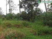 Granja Viana Vintage