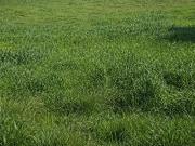 Grasse 06130 Programme neuf terrain neuf à vendre