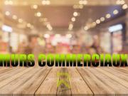 GRAU D'AGDE MURS COMMERCIAUX