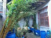 Graulhet 81300 Achat / Vente immeuble