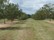 Gravel Hl, Baconton, Plot For Sale