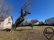 Graz Gösting: Gartenparadies 1.500m2 Grund mit älterem...