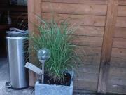 Graz! Tolle Gartenwohnung in einer kleinen Reihenhausanlage!