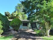 Great location, loads of yard & sheds