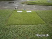 Green Garden Memorial Park Iloilo Twin Lots for Sale...
