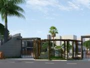 Dholera Residential Plot For Sale Ahmedabad