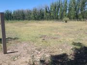 GREENWOOD INMOBILIARIA VENDE LOTE EN EL CARRIZAL DE ABAJO