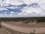 GREENWOOD INVERSIONES INMOBILIARIAS VENDE CAMPO GANADERO
