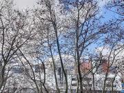 Grenoble 38000 Achat / Vente appartement 5 pièces t5