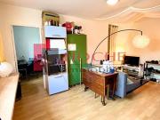 Grenoble 38100 Achat / Vente appartement 2 pièces t2