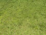 Gresham Rd Se, Atlanta, Plot For Sale