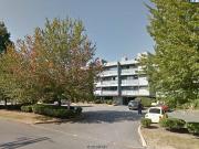 Greystone Apartments 2 Bedroom Apartment for Rent at...