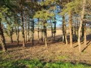 Grézet Cavagnan Vente Terrain 47