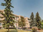 Grier Place Apartments for Rent 75 Grier Pl Ne Calgary...