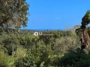 Grimaud 83310 Achat / Vente maison 6 pièces t6