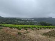 Grimaud 83310 Achat / Vente maison 9 pièces t9 piscine