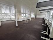 GROSS, HELL UND AN IDEALER LAGE