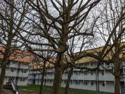 Praktisches Appartement in Bregenz mit Balkon und...