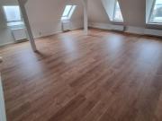 Große frisch sanierte Wohnung in Plauen ab sofort frei!